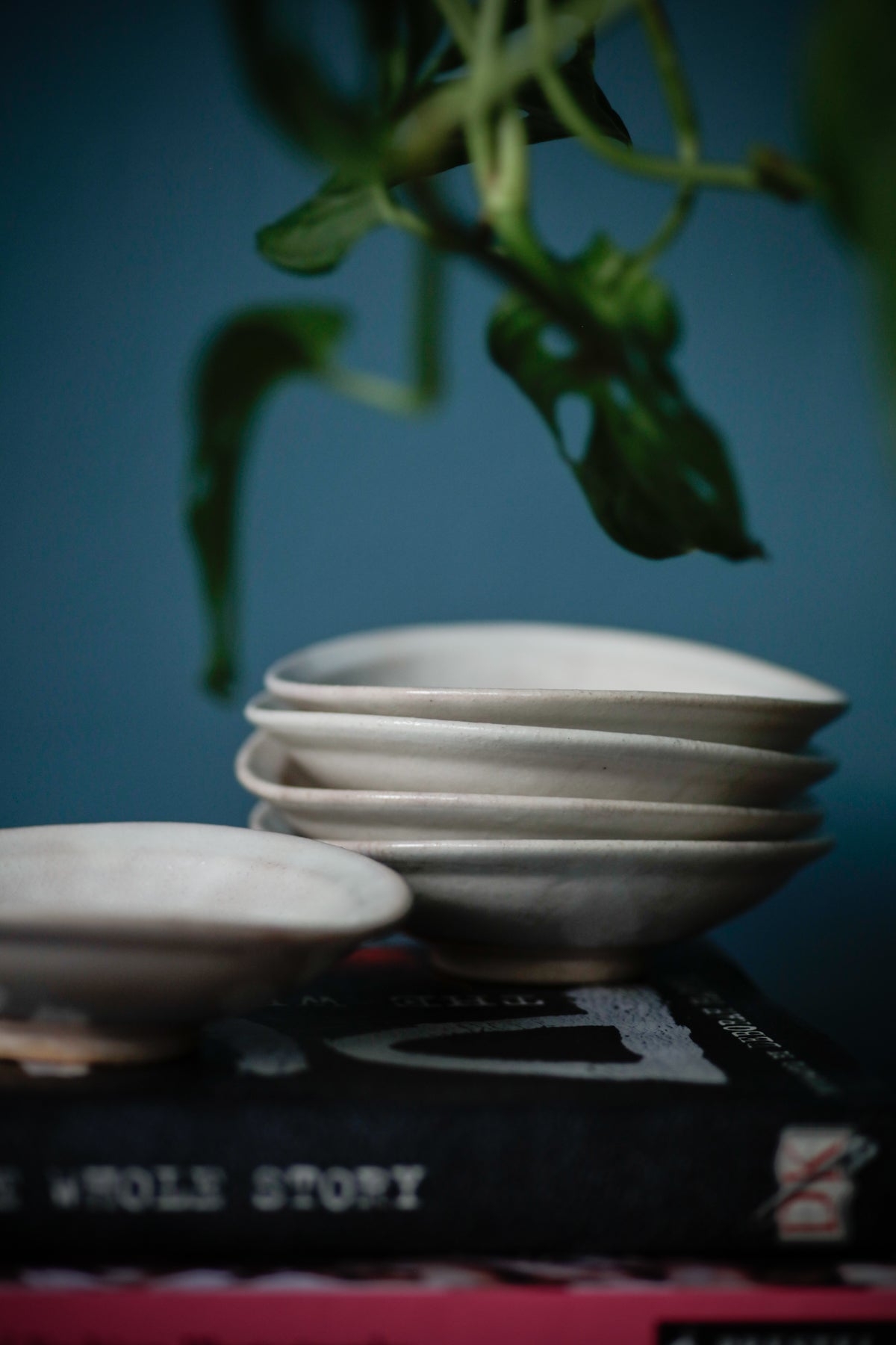 Artisan Japanese Rice / Sauce Bowls Set of 5